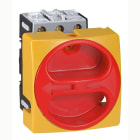 Legrand - Interrupteur-sectionneur tripolaire 63A rotatif complet encastré cadenassable