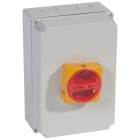 Legrand - Interrupteur-sectionneur rotatif complet de proximité - tripolaire - 40A