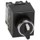 Legrand - Commutateur à cames - interrupteur arrêt/marche - tête de commande à manette -2P