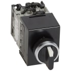 Legrand - Commutateur à cames - inverseur avec arrêt - tête de commande à manette - 3P