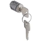 Legrand - Barillet à clé pour poignée 034771 et 034772 pour armoire Altis - pour clé n°421