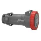 Legrand - Prise mobile Hypra IP66/67-55 32A - 380V~ à 415V~ - 3P+T - plastique