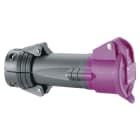 Legrand - Prise mobile Hypra IP44 TBT 16A - 20V~ à 25V~ - 2P - plastique