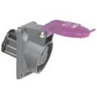 Legrand - Prise de courant fixe 2P Hypra IP44 TBT 32A - 20V~ à 25V~ - plastique