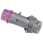 Legrand - Fiche droite Hypra IP44 TBT 32A - 20V~ à 25V~ - 2P - plastique