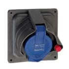 Legrand - Prisinter fixe Hypra IP44/55 32A - 200V~ à 250V~- 3P+T - plastique