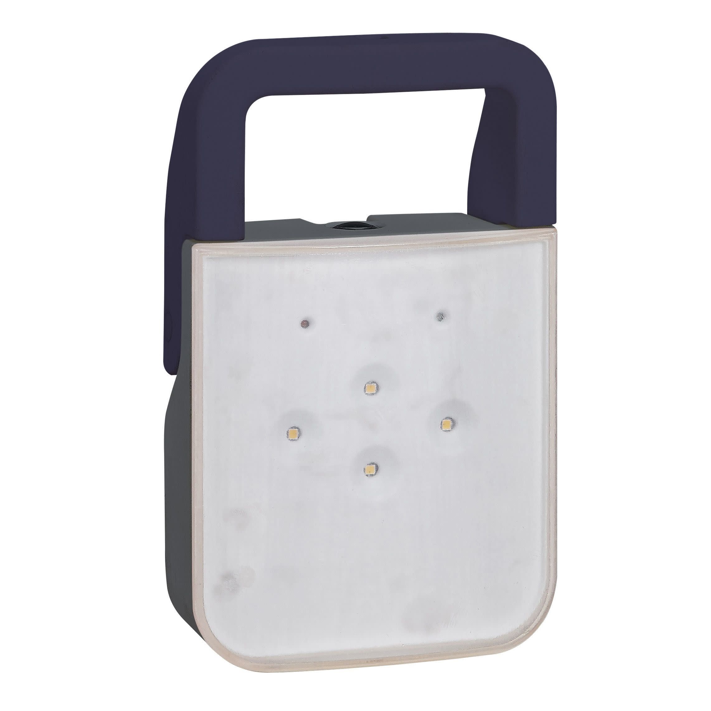 Legrand - Lampe BAPI à LEDs 100 lm IP55 IK08 - 1,8W avec batteries Ni-Cd et 230V - gris