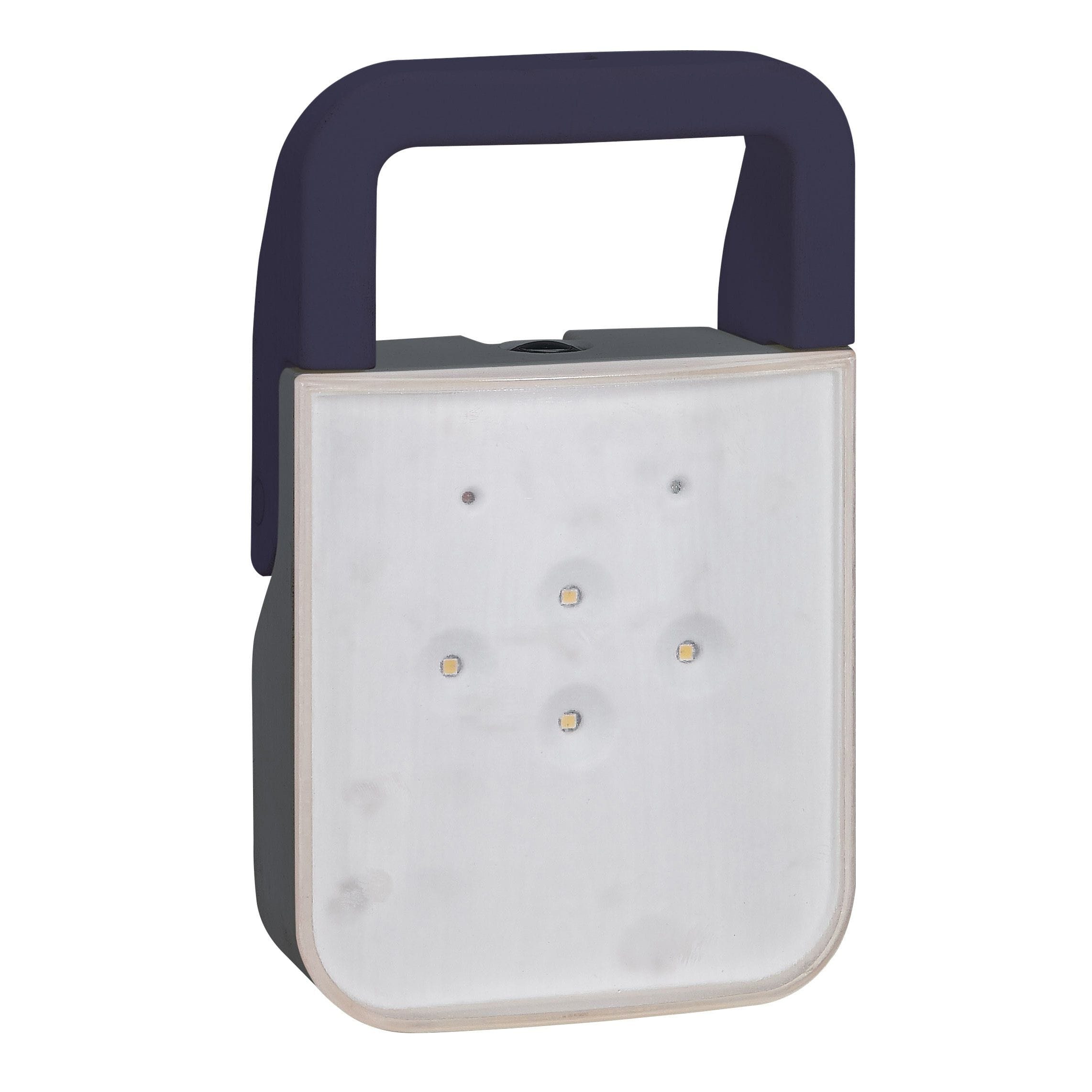 Legrand - Lampe BAPI à LEDs 100 lm IP55 IK08 - 1,8W avec batteries Ni-Cd et 230V - gris