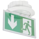 Legrand - LSC d'évacuation encastré 45lm IP40 IK04 Kickspot tension 110/220V= 230V~