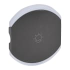 Legrand - Enjoliveur double Céliane éclairage 1 pictogramme - graphite
