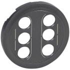 Legrand - Enjoliveur Céliane pour double prises RCA - finition graphite