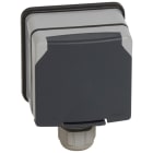 Legrand - Prise de courant 3P+N+T avec éclips Plexo IP66 complet 20A 400V~ - gris