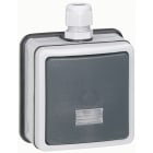 Legrand - Interrupteur/va-et-vient bipolaire à voyant Plexo IP66 complet 10A 250V~ - gris