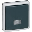 Legrand - Interrupteur ou va-et-vient bipolaire à voyant 10A Plexo IP66 composable - gris