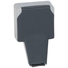 Legrand - Prise de courant 2P+T volet IP66 fiche engagée Plexo composable 16A 250V~ - gris