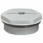 Legrand - Bouchon pour écrou - ISO20 - gris RAL7001