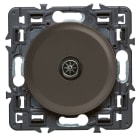 Legrand - Prise TV simple mâle Céliane avec enjoliveur graphite et support