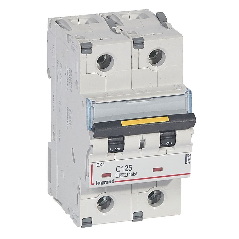 Legrand - Disjoncteur DX3 10000 - vis/vis - 2P - 230/400V~ - 125A - 16kA - courbe C - 3M