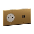 Legrand - Art d'Arnould - prise 2 P+T + prise USB C 30W PD-2P- Mémoire or Brossé