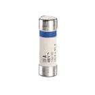 Legrand - Cartouche cylindrique domestique 10,3x31,5mm avec voyant - 20A
