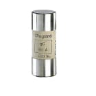 Legrand - Cartouche industrielle cylindrique typegG 22x58mm avec percuteur - 25A