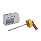 Legrand - Interrupteur-sectionneur Vistop 63A - 3P avec commande latérale et poignée rouge