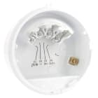 Legrand - Base étanche IP65 pour dispositif sonore et visuel 040570 avec 2 presse-étoupes