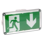 Legrand - BAES+BAEH d'évacuation saillie à LEDs plastique IP66 IK10 SATI Connecté