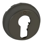 Legrand - Enjoliveur Céliane pour poussoir à clé 3 positions - finition graphite