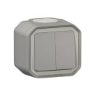 Legrand - Commande double interrupteur ou poussoir Plexo complet saillie gris