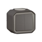 Legrand - Commande double interrupteur ou poussoir Plexo complet saillie anthracite