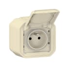 Legrand - Prise de courant 2P+T Plexo complet saillie sable
