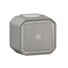 Legrand - Interrupteur temporisé lumineux Plexo complet saiilie - gris