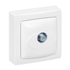 Legrand - Prise TV type "F" à visser Appareillage Saillie - Blanc