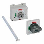 Legrand - Manette rotative DPX3 250 1000V disjoncteur compact gris sans halogène