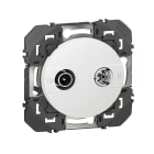 Legrand - Prise TV-R dooxie - finition blanc - avec support