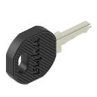 Legrand - Set de 2 clés code 9473 pour porte et panneaux latéraux coffret Linkeo RAL7016