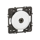 Legrand - Prise télévision simple mâle Céliane - étoile blindée - prémonté Blanc