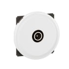 Legrand - Prise TV simple mâle Céliane avec enjoliveur Blanc format Dépôt