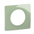 Legrand - Plaque Céliane 1 poste - Vert Céladon emballage GD