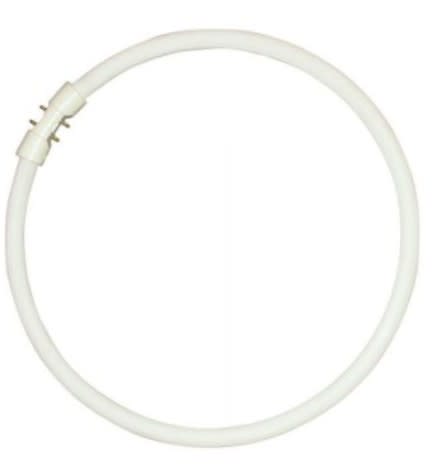 Aurora - Fluocompacte circulaire D16mm 2GX13 22W 840