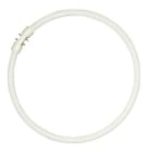 Aurora - Fluocompacte circulaire D16mm 2GX13 22W 830