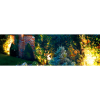 Vignette Photo produit ambiance 2