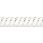 Aurora - LEDline - 1 mètre ruban LED 24V DC 9,6W/m uni 840