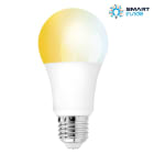 Aurora - Aone Bluetooth - Lampe A60 E27 8W 160° CX 827-865 grad.
