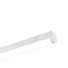 Aurora - BatPac - Reglette LED 1500mm IK08 63W 840