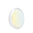 Aurora - Orbital - Hublot LED IP66 IK10 240V 17W CS (3000-4000-5700K) BL batt. secours