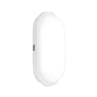 Aurora - Utilite - Hublot LED polyc. 240V 20W IP65 IK06 ovale 830 BL