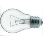 Aurora - INC - Standard 60X103 130V 40W E27
