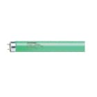 Aurora - TF - T8 18W G13 vert D26